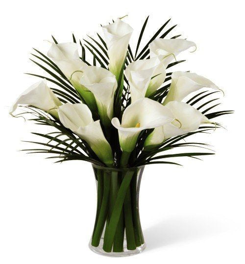 White Grace Ensemble