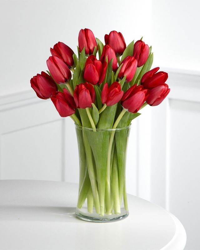 Red Tulips in Vase