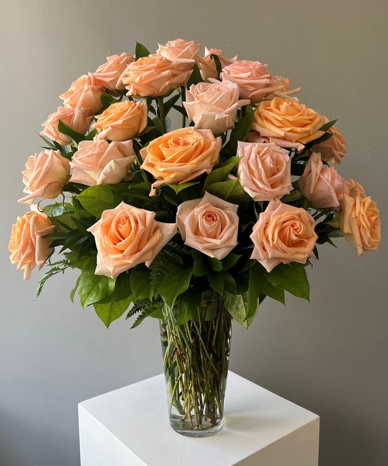 Rose Mayfair Peach