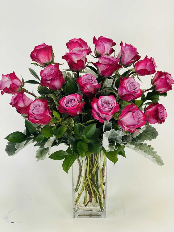 Rose Deep Purple Double