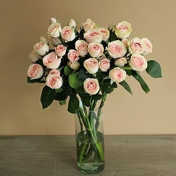 Spray Rose Dinara Light Pink