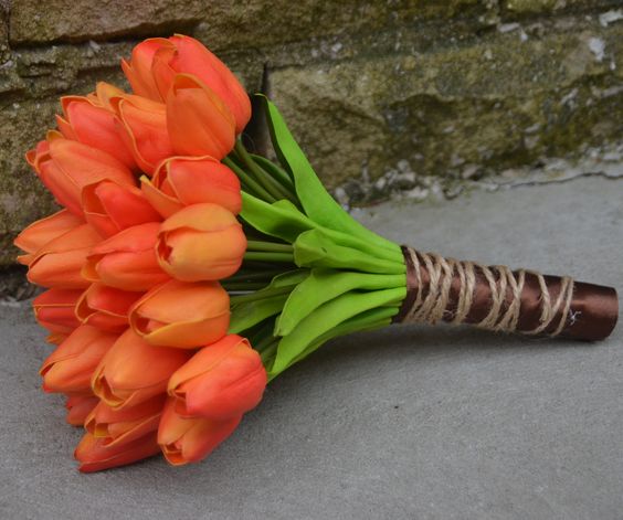 Sunset Tulip Symphony