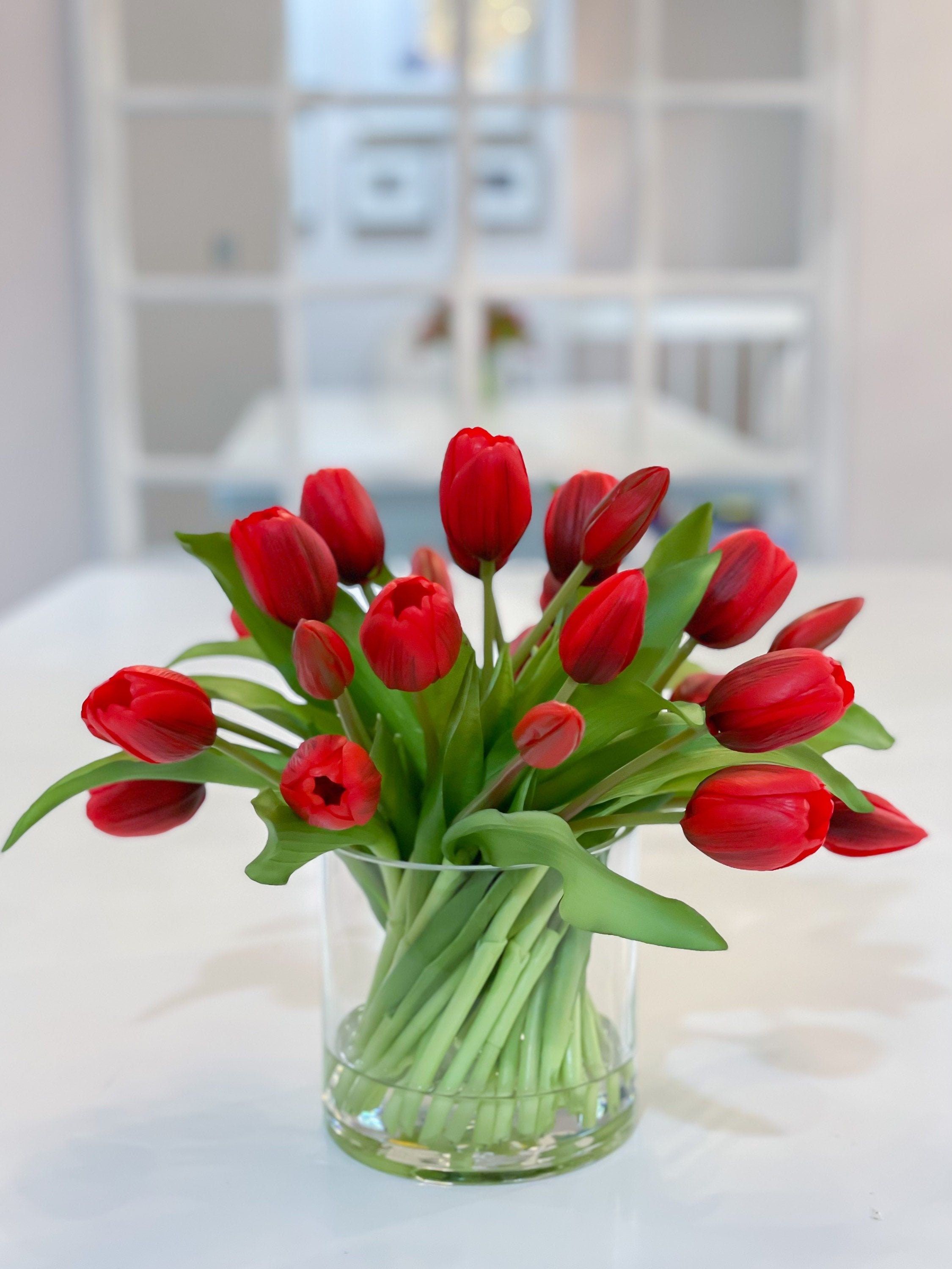 Tulip Red